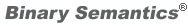 Binary Semantics logo